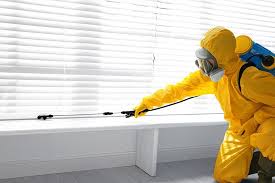 Emergency Pest Control in Tawas City, MI